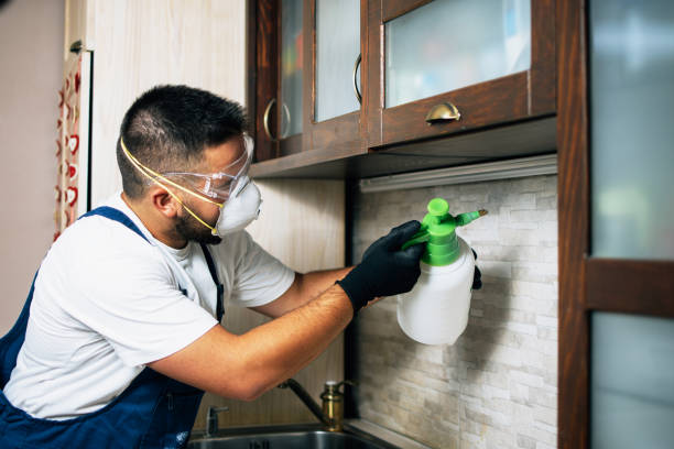 Best Cockroach Control Services  in Hampden Sydney, VA