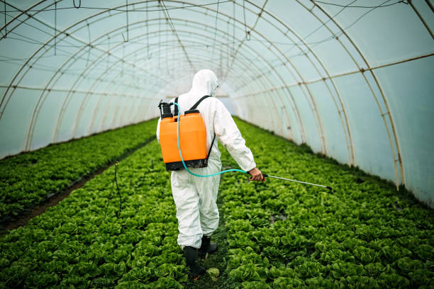 Best Affordable Pest Control Services  in Hampden Sydney, VA