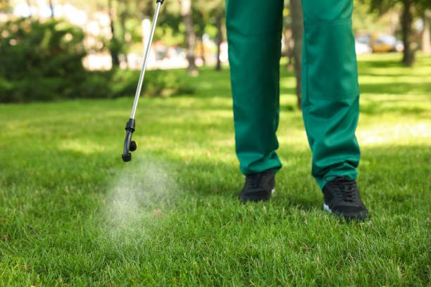 Best Local Pest Control Services  in Hampden Sydney, VA