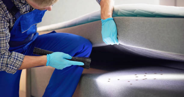 Best Pest Control Near Me  in Hampden Sydney, VA