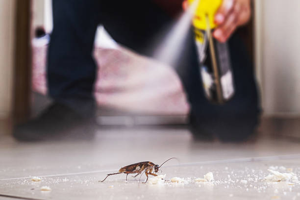 Best Pest Control Near Me in Hampden Sydney, VA