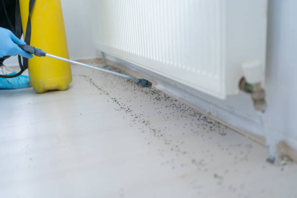 Best Pest Control Near Me  in Hampden Sydney, VA