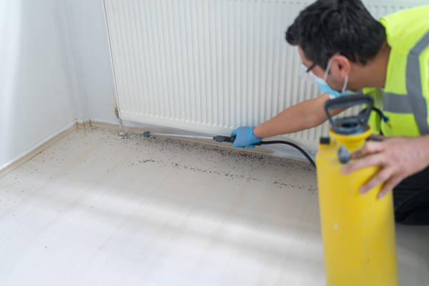 Wasp Removal Services in Hampden Sydney, VA